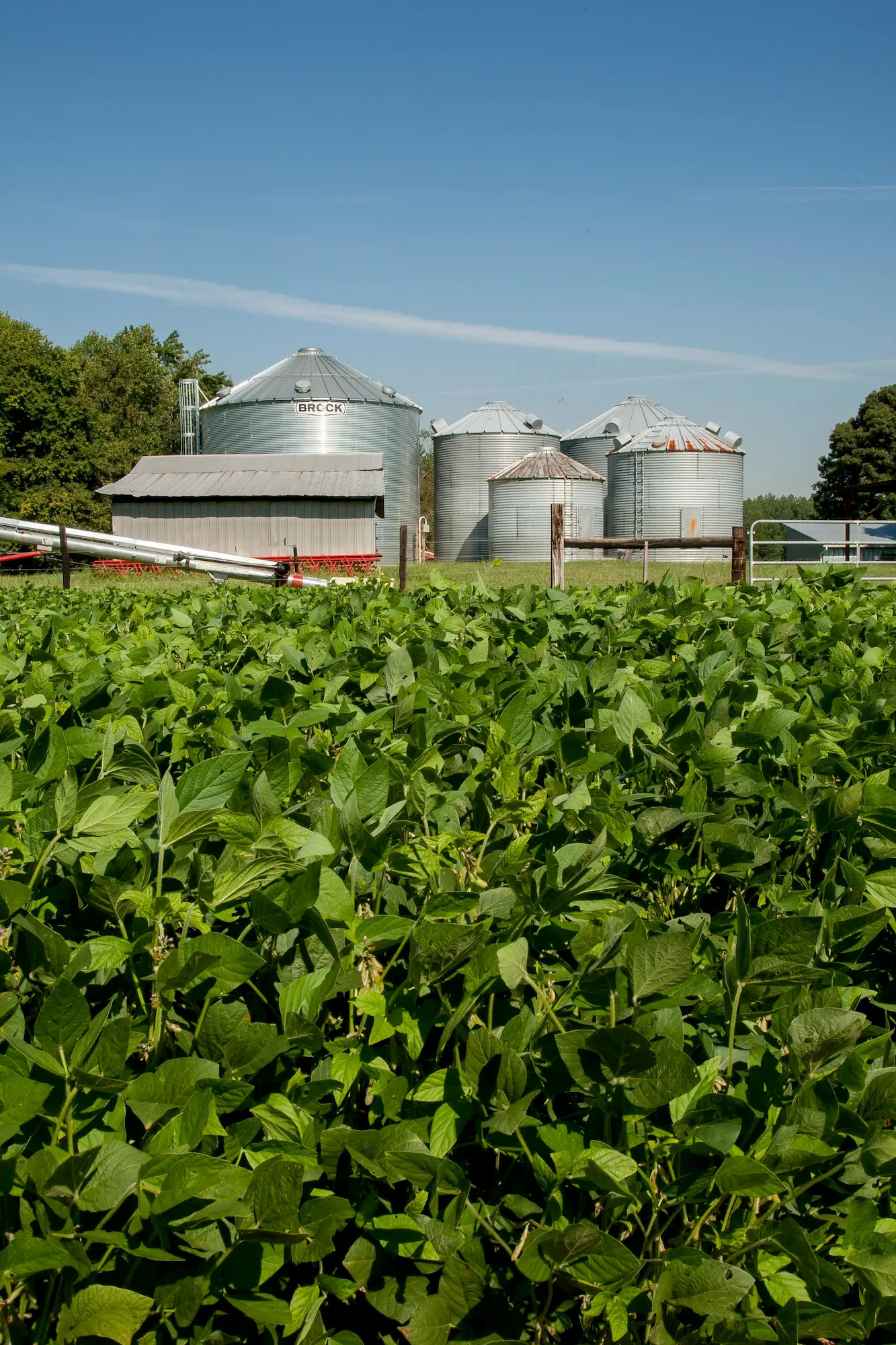 grain bins